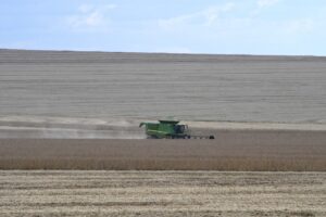 MS se consolida como estado exportador de produtos para mais de 120 países – Agência de Noticias do Governo de Mato Grosso do Sul