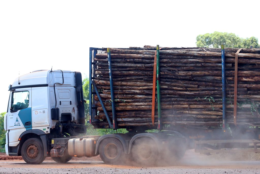 base florestal em Mato Grosso do Sul deve crescer 40% até 2028 – Agência de Noticias do Governo de Mato Grosso do Sul