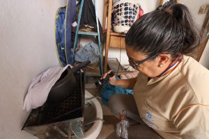 Mato Grosso do Sul realiza ‘Dia D’ de Combate à Dengue – Agência de Noticias do Governo de Mato Grosso do Sul