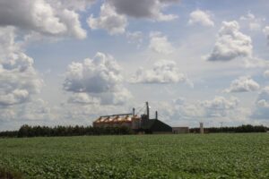 Valor Bruto da Produção Agropecuária de Mato Grosso do Sul cresce 23,6% e atinge R$ 76,3 bilhões