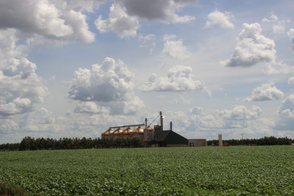 Valor Bruto da Produção Agropecuária de Mato Grosso do Sul cresce 23,6% e atinge R$ 76,3 bilhões